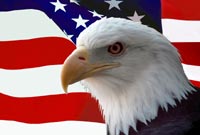 American Flag and Bald Eagle freight broker emblem