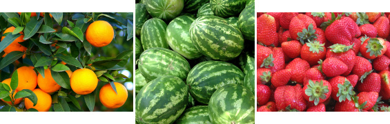 Produce Shipping